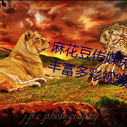 麻花豆傳媒免費MV在線觀看提供豐富多彩視頻資源