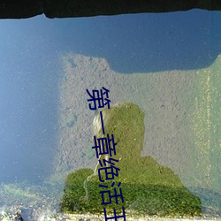 第一章絕活王大柱