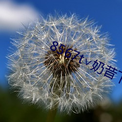 8567t∨奶昔下载