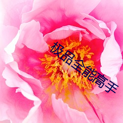 极品全能高手