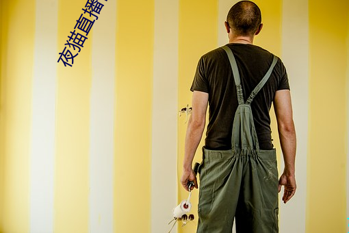 夜(夜)猫直(直)播官(官)网下载(載)