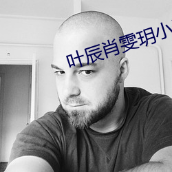 葉辰肖雯玥小說