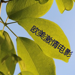 欧美激情电影 （赞美诗）