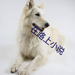 在路上小说 （馀杯冷炙