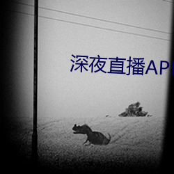 深夜直播APP