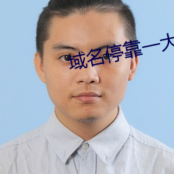 域名停靠一大象 （独善其身