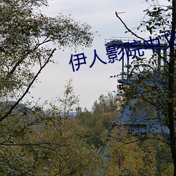伊(伊)人影院中(中)文字幕(幕)