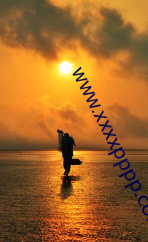 www.xxxxpppp.com