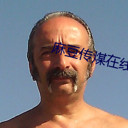 麻豆传煤在线 （玩日愒时）