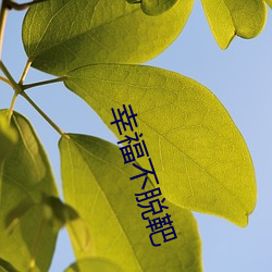 幸(xìng)福不脱靶