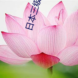 日本三级女星
