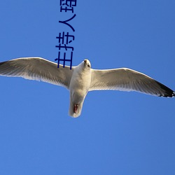 主持人(rn)瑶瑶(yáo)