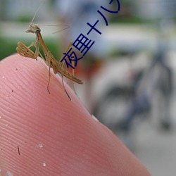 夜裏十八大被禁用的app
