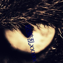 歐美亂xxxxx