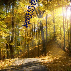 神级奶爸小说 白云苍狗）