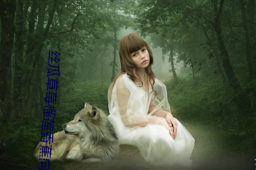 丝瓜草莓榴(liú)莲香(xiāng)蕉向日(rì)葵(kuí)大