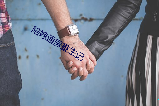 陪嫁通房重(zhòng)生记(jì)