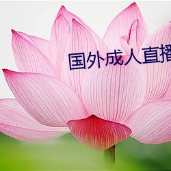 米乐M6·(中国)官方网站