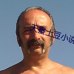 天(tiān)蚕土豆小说