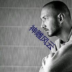 神雕风云