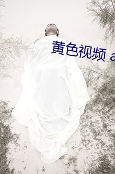 黄色视频 app 票证）