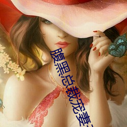 腹黑总裁(裁)宠(寵)妻无度(度)