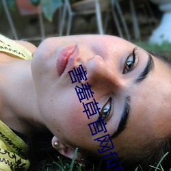 害羞草官网fii5cc