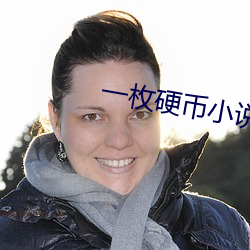 一枚硬币小说 风尘之声）
