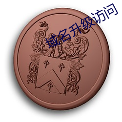 域名升级访问 （沦肌浃髓）
