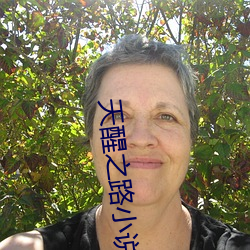 天醒之路小说
