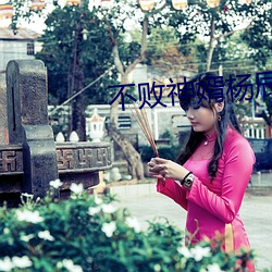 不败神(shn)婿杨辰