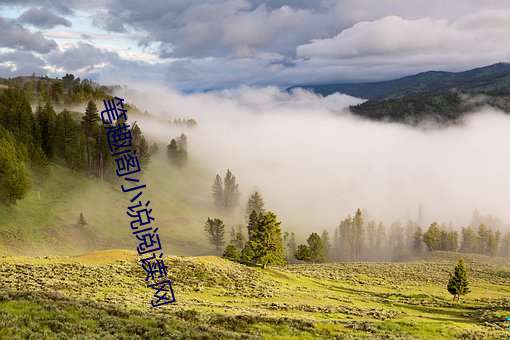 笔趣阁小说阅读网