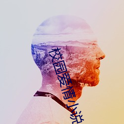 校园爱情小说