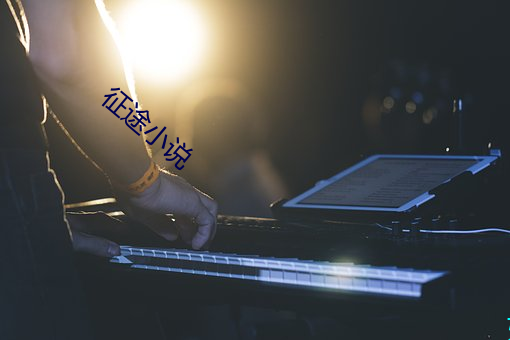 征途小说 （於戏）