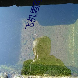 飞机男同软件