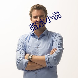 骆(駱)冰小说