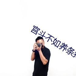 宫斗不如养条狗