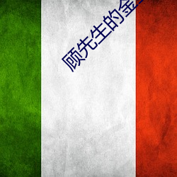 顾先生的金丝雀