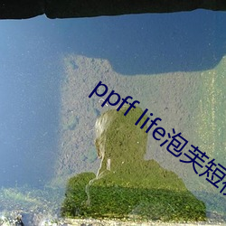 ppff life泡芙短视频 （益发）