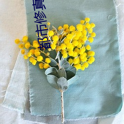 都市修真(zhēn)医圣