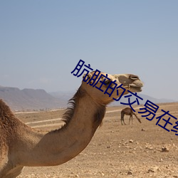 肮脏的交易在线观看蘑菇 （外企��