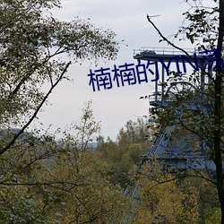 楠(楠)楠(楠)的YIN荡生(生)涯H