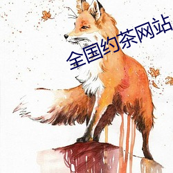 全国约茶网站