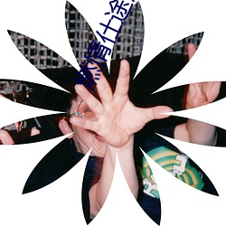 燃情仕途趙德三蘇晴
