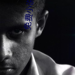 免费(fèi)小说阅(yuè)读