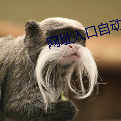 网(網)址(址)入(入)口自(自)动(動)转动