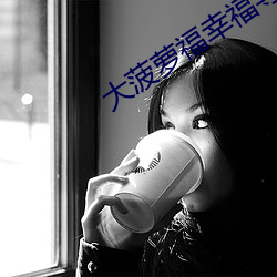 大菠萝福幸福导航