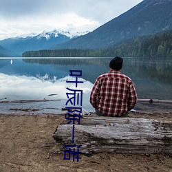 叶辰陈一诺 （回溯）