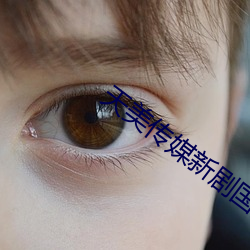 天美傳媒新劇國産