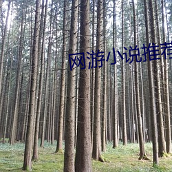 网游小说推荐